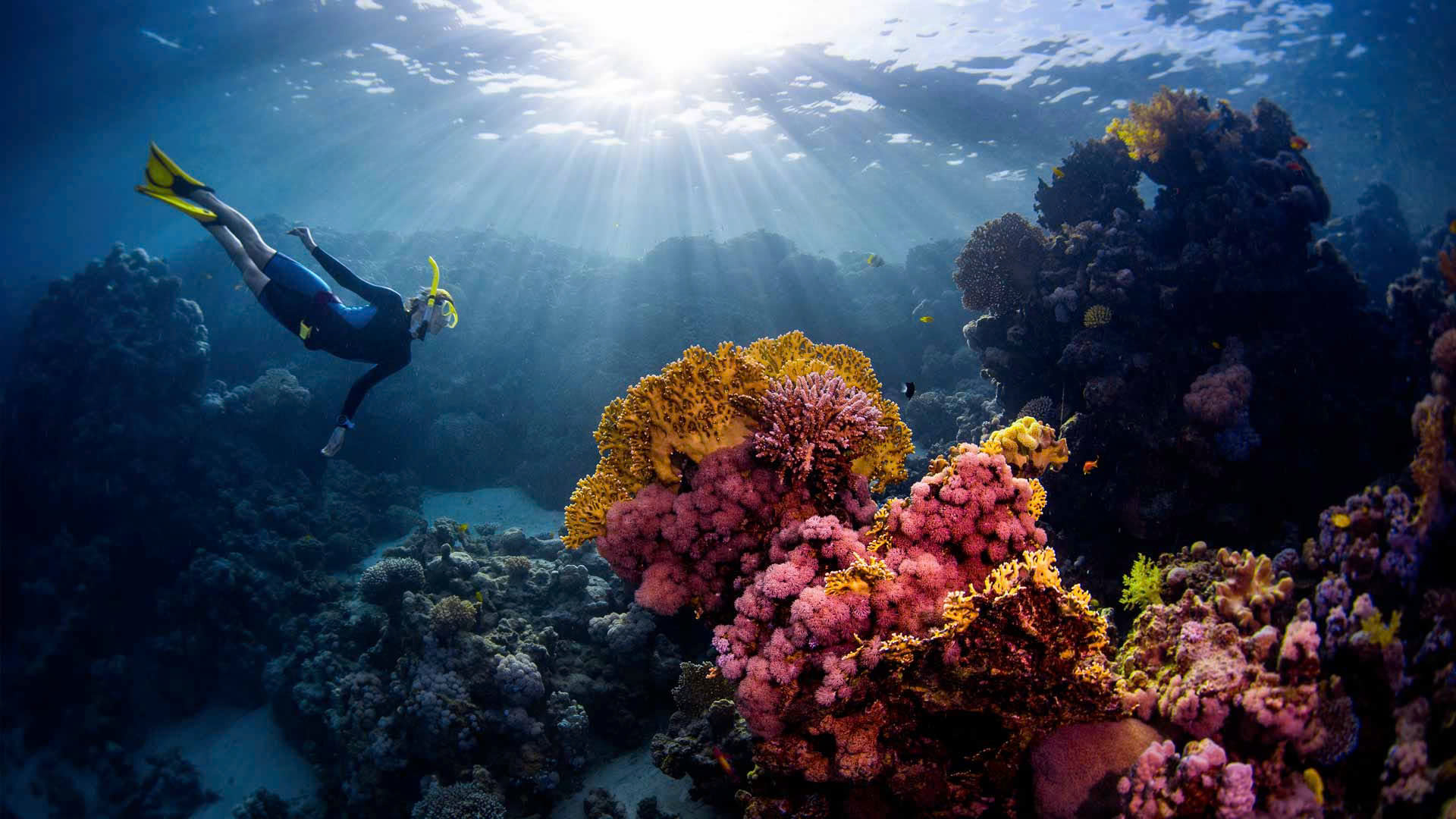 Funky Trunks Soldes -Funky Trunks Soldes z6543425387842 345aab6c9d500dbd8325c40b13a693a7